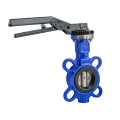 Регулятор "Батерфляй" Ду 125 диск: чавун  Ру16