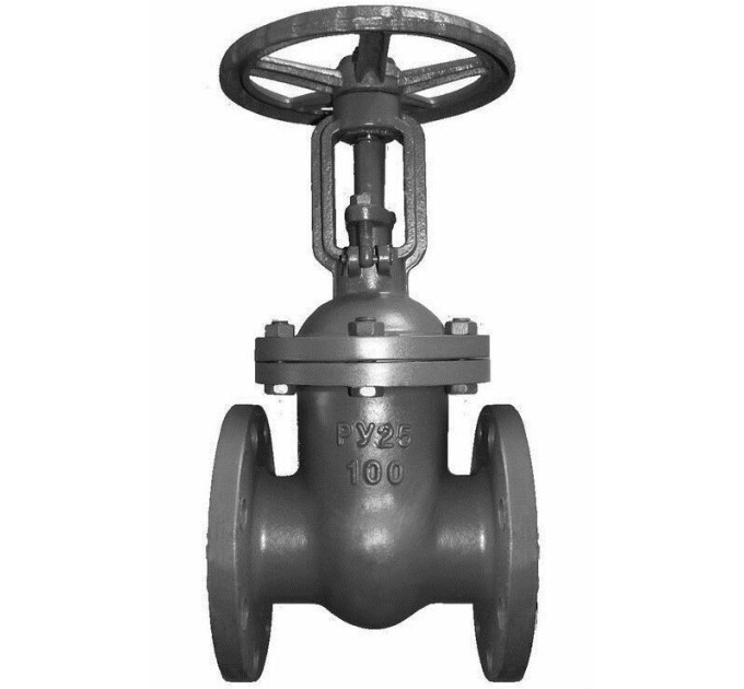Засувка 30с64нж(99нж) Ду200 (вода, пар, нафта) Ру25 L=419mm